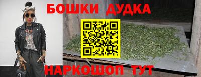 гидропоника Аша