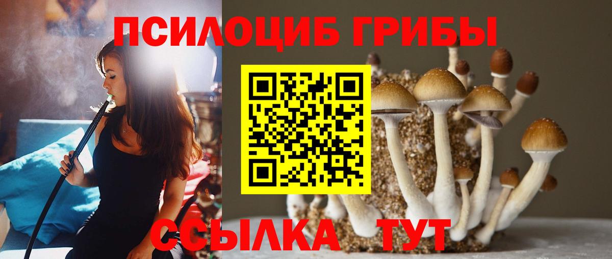 Галлюциногенные грибы GOLDEN TEACHER  Вход с VPN  Верхняя Салда  Псилоцибиновые грибы мухоморы 